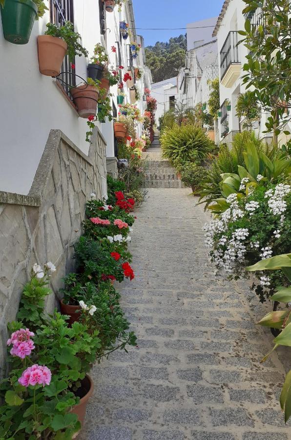 Casa De Las Flores - A Picture Perfect Location! El Gastor Zewnętrze zdjęcie