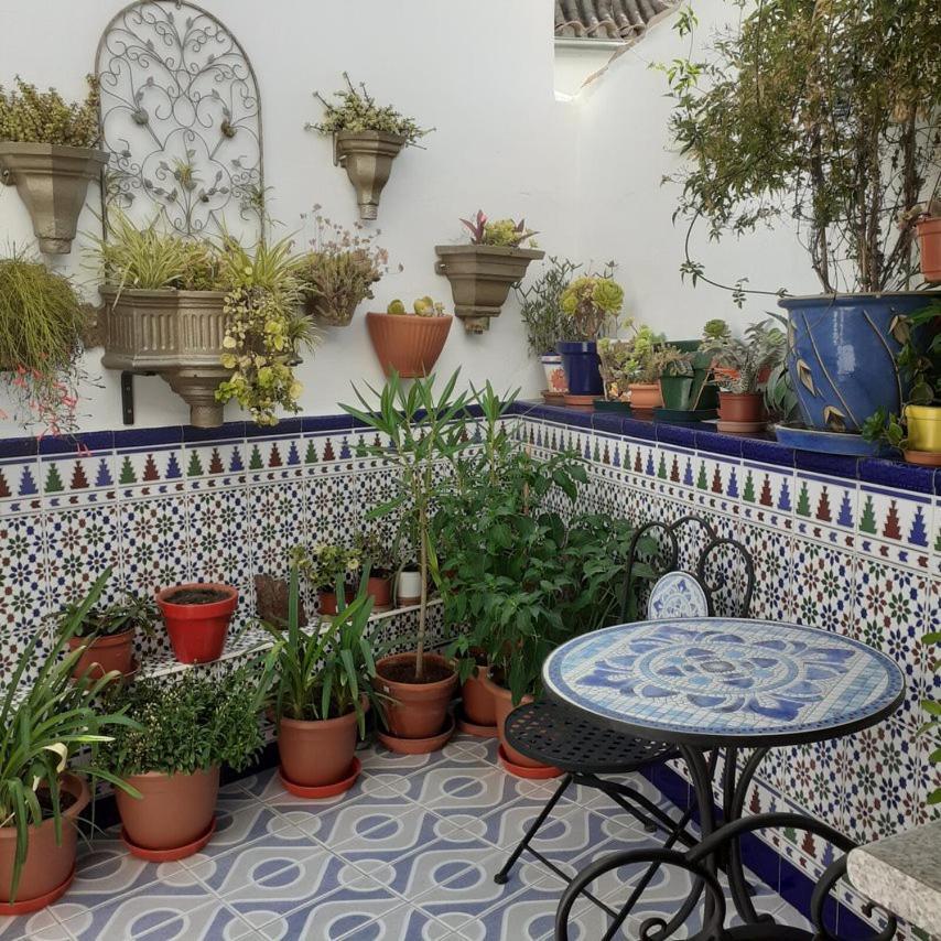 Casa De Las Flores - A Picture Perfect Location! El Gastor Zewnętrze zdjęcie